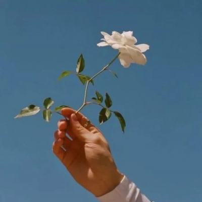 华为全民寻仙官方下载