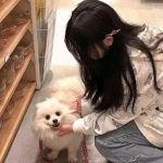 平民之拳游戏下载